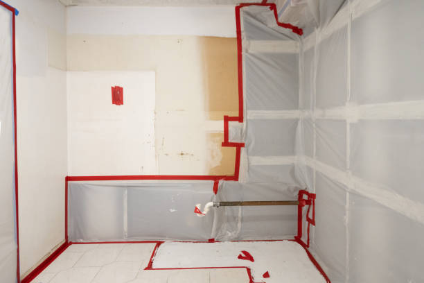 Best Post-Construction Mold Inspection  in Wildwood, NJ