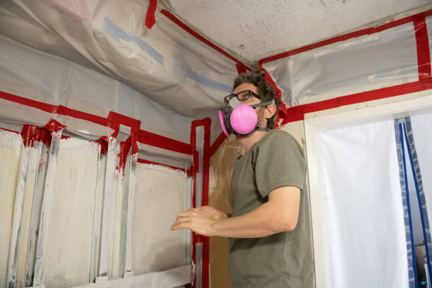 Professional Mold Removal in Wildwood, NJ