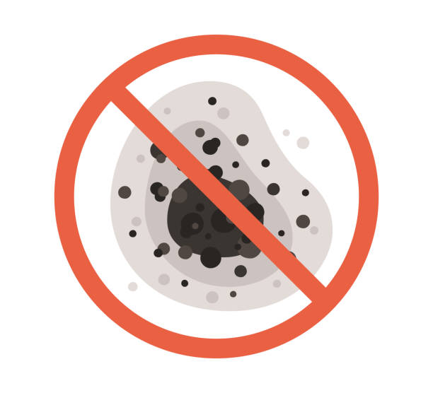 Best Mold Removal for HVAC Installations  in Wildwood, NJ