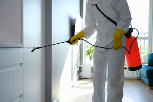 Best Mold Prevention Services  in Wildwood, NJ