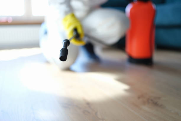 Environmental Consulting for Mold Prevention in Wildwood, NJ