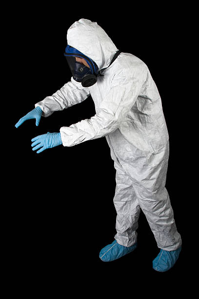  Wildwood, NJ Mold Removal Pros