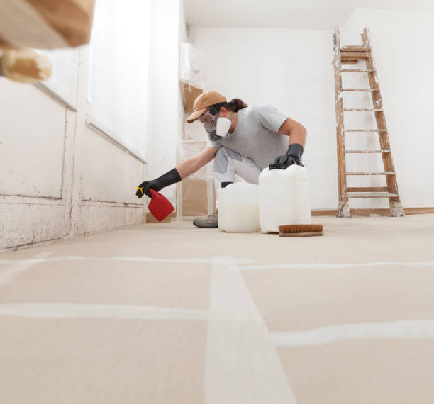 Best Asbestos and Lead Testing During Mold Inspection  in Wildwood, NJ